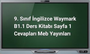 9. Sınıf İngilizce Sayfa 1 Cevapları
