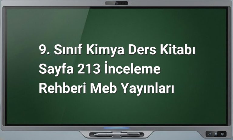 9. Sınıf Kimya Sayfa 213 İnceleme