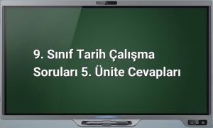9. Sınıf Tarih 5. Ünite Cevapları