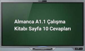 Almanca A1.1 diyalog tamamlama