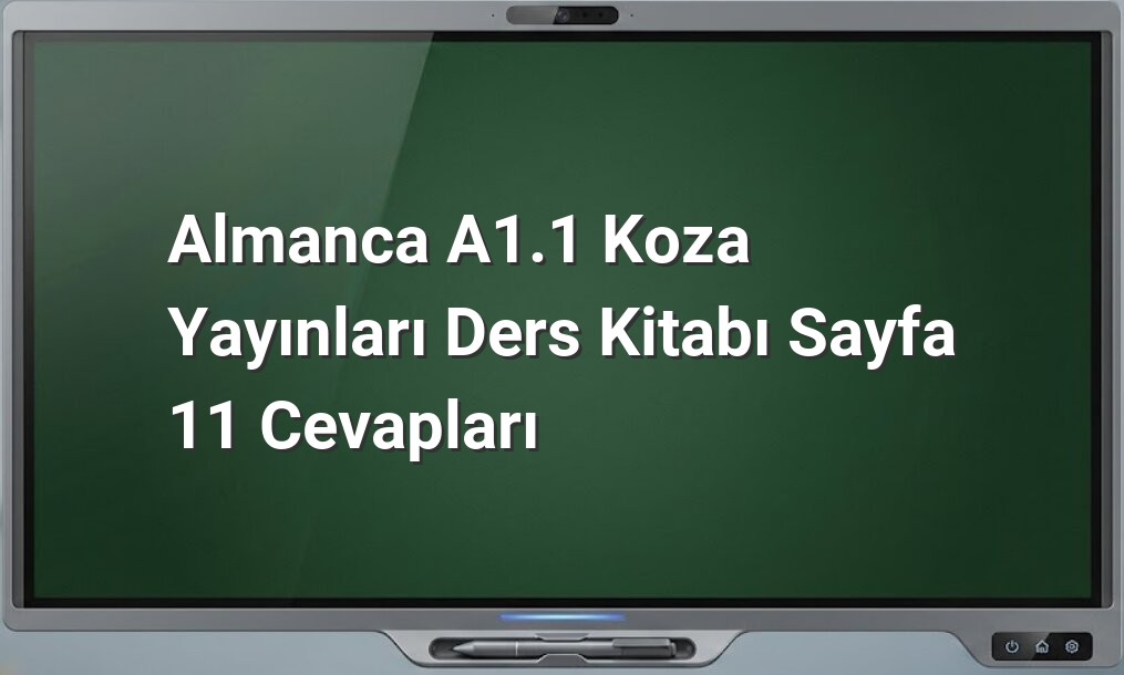 Almanca A1.1 Koza Yayınları Sayfa 11 Cevapları