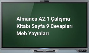 Almanca A2.1 çalışma kitabı sayfa 9 cevapları