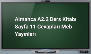 Almanca A2.2 sayfa 11 cevapları