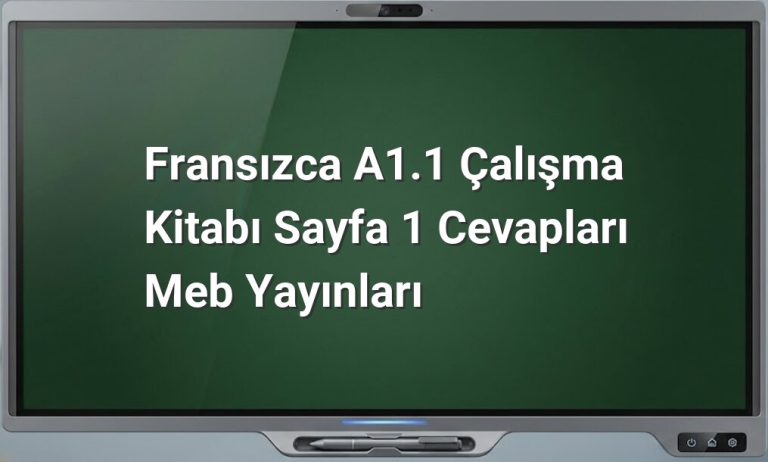 Fransızca A1.1 çalışma kitabı cevapları
