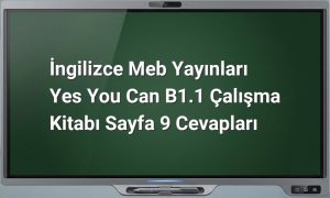 Yes You Can B1.1 Sayfa 9 Cevapları