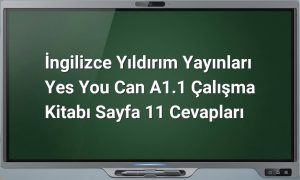 Yes You Can A1.1 Sayfa 11 Cevapları
