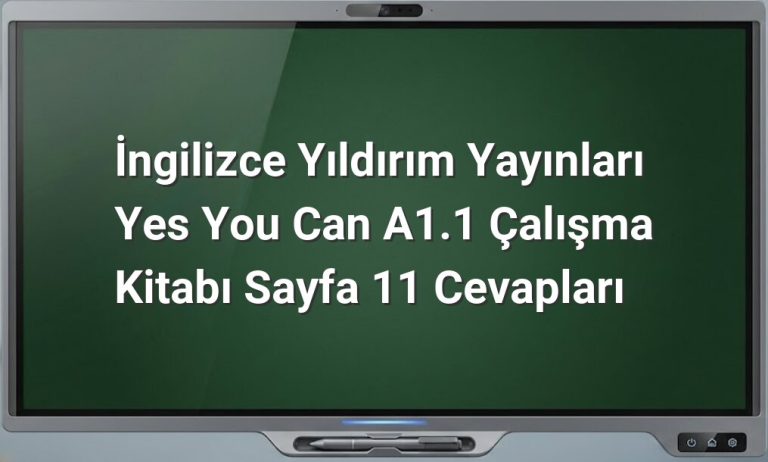 Yes You Can A1.1 Sayfa 11 Cevapları