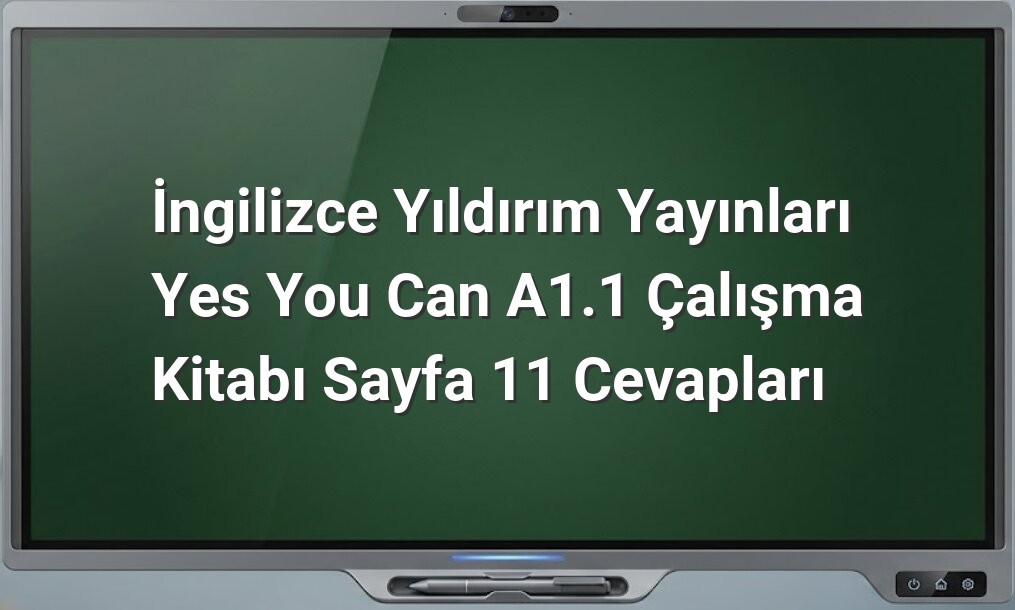 Yes You Can A1.1 Sayfa 11 Cevapları
