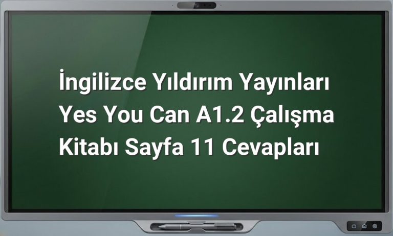 Yes You Can A1.2 Sayfa 11 Cevapları