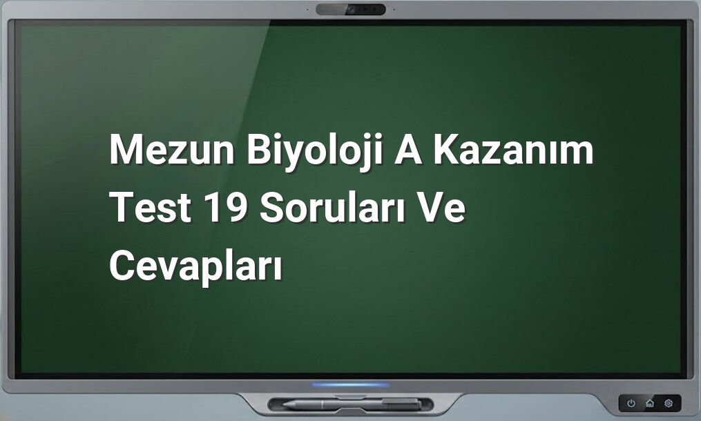 Biyoloji Kazanım Testi 19 Cevapları