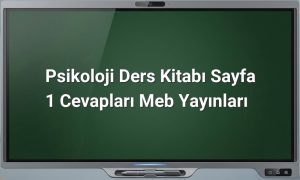Psikoloji ders kitabı sayfa 1 cevapları