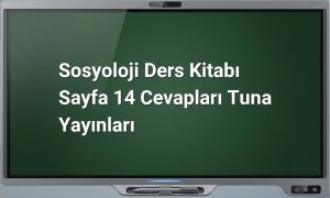 Birey ve toplum ilişkisi