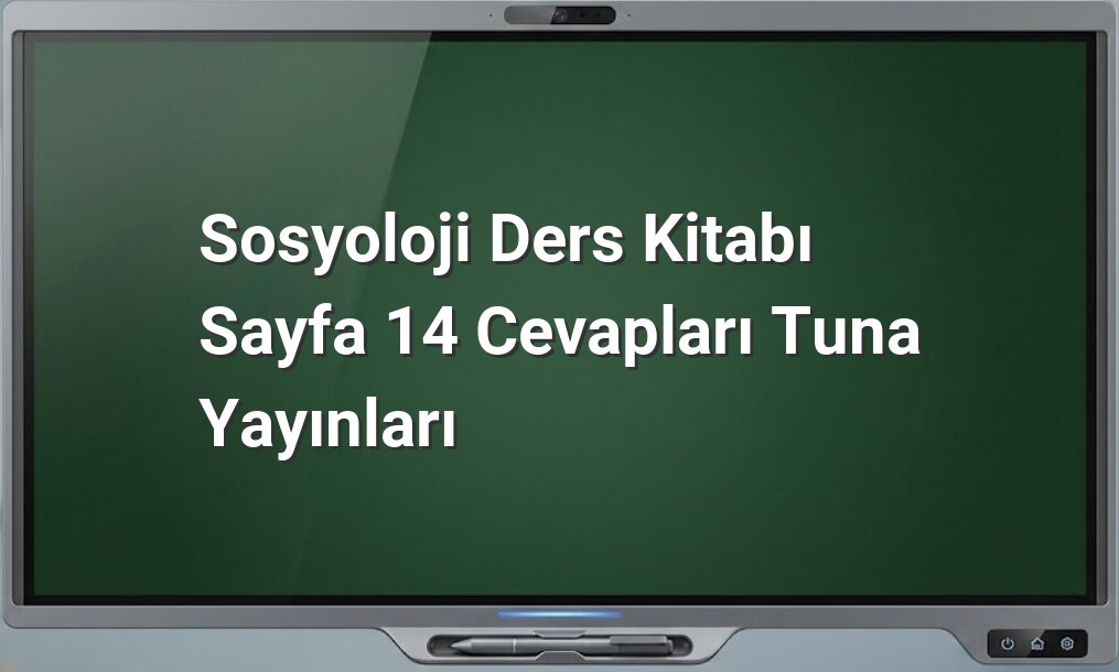 Birey ve toplum ilişkisi